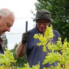 Planting the carpark